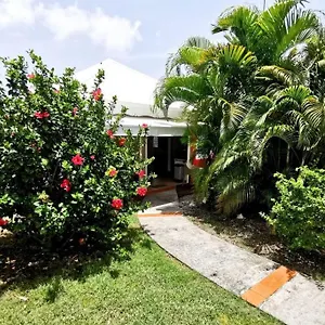 Colombo Ti-figues , Saint-Francois (Grande-Terre) Guadeloupe